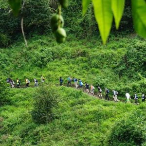 Ecotourism Is The Solution To Overtourism Ecotourism Is The Solution To Overtourism